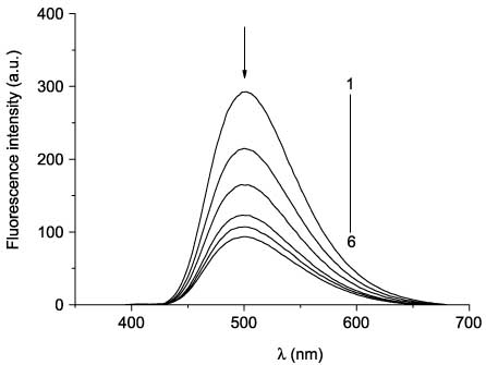 Figure 11 Fluorescence spectra of 48bb before (curve 1) and after UV irradiation (365 nm) for 1 s (2), 2 s (3), 4 s (4), 8 s (5), and 12 s (6).