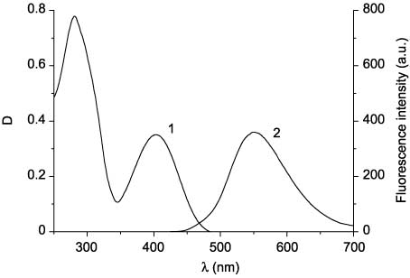 Figure 8 Absorption (1) and emission (2) spectra of 48ae.