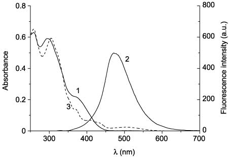 Figure 9 Absorption (1) and emission (2) spectra of the open form and absorption spectra of the cyclic form (3) of 48bc.
