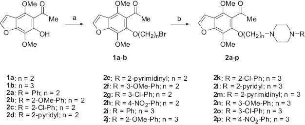 Scheme 1 Synthesis of compounds 2a–p; (A) Br(CH2)2Br or Br(CH2)3Br, K2CO3, acetonitrile; (B) 1-aryl/heteroarylpiperazine, K2CO3, KI.