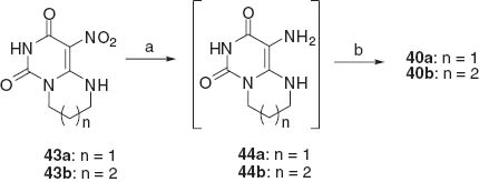 Scheme 13 Reagents: (a) Pd/C, H2/H2O, (b) HC(OEt)3.