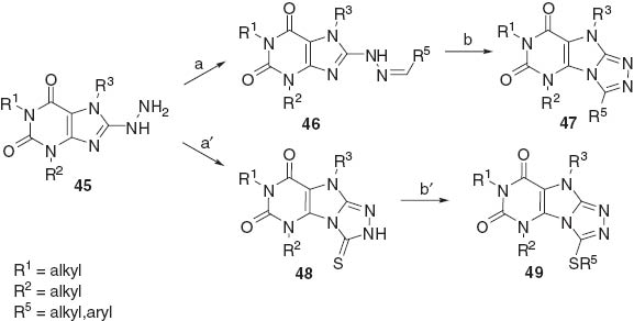 Scheme 14 Reagents: (a) R5CHO, EtOH, T, (b) Br2, Na2CO3, (a′) CS2, NaOH, (b′) R5X, K2CO3.