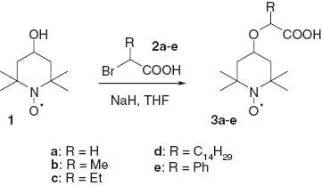Scheme 1 Synthesis of alkanoic acid derivatives bearing a nitroxyl moiety 3a–e.