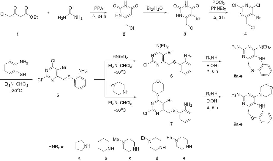Scheme 1 Synthetic pathway of the title compound.