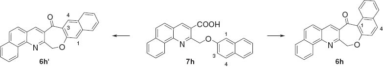 Scheme 2 Possible intramolecular cyclization reactions of 7h.