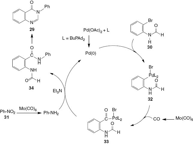 Scheme 15 Suggested mechanism for palladium-catalyzed synthesis of 3-phenyl-4(3H)-quinazolinone 29.