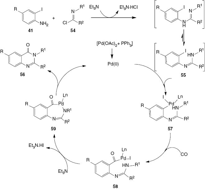 Scheme 24 Proposed mechanism of 2,3-disubstituted-4(3H)-quinazolinones 56.