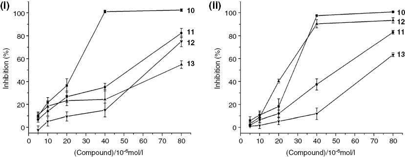 Figure 1 Antiproliferation effect of conjugates 10, 11, 12, and 13 against MCF-7 (i) and HepG-2 (ii) tumor cells.Cells were plated and incubated with the indicated concentrations of 10, 11, 12, and 13 (5, 10, 20, 40, and 80 μm). After 24 h of treatment, cell proliferation was measured by the CCK-8 assay. Data represent the means±SD of triplicate experiments.