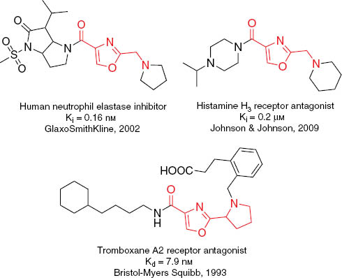 Figure 1 Biologically active derivatives of lead-oriented building blocks inspired by oxazole peptidomimetics.