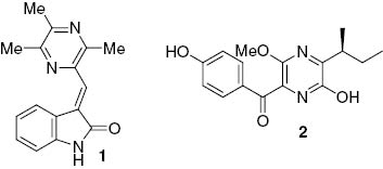 Figure 1 The fungal pyrazines colletotrichumine A (1) and septorine (2).