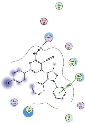 Figure 5 Docking of 16 in 1UYK binding side.