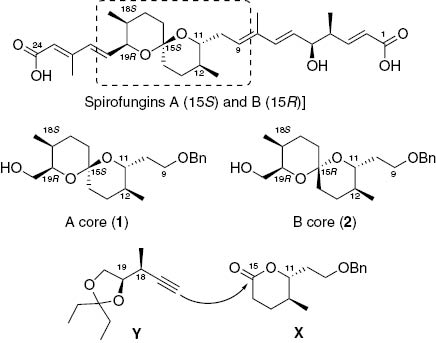Figure 1 Spirofungins A and B, and the spiroacetal fragments prepared in this study.