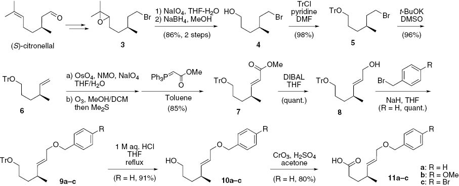 Scheme 1 Preparation of lactonization precursors 11a–c.