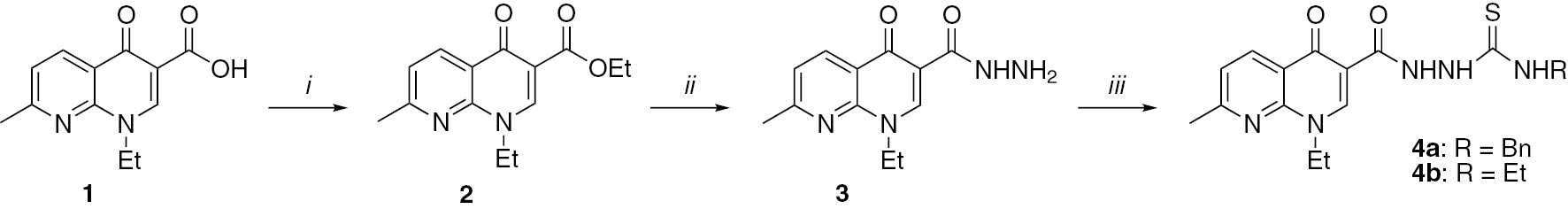 Scheme 1 Reactions and conditions. i: H2SO4, EtOH, 22 h reflux or MW irradiation; ii: EtOH, H2NNH2, 6 h reflux or MW irradiation; iii: CH2Cl2, PhCH2NCS or EtNCS, 24 h room temprature or MW irradiation.