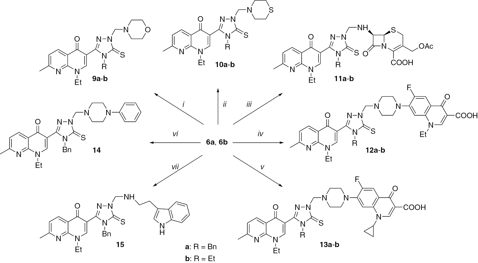 Scheme 3 Conditions: amine, CH2O in DMSO (see Experimental). The amines: i, morpholine; ii, thiomorpholine; iii, 7-aminocephalosporanic acid; iv, norfloxacin; v, ciprofloxacin; vi, 1-phenylpiperazine; vii, tryptamine.