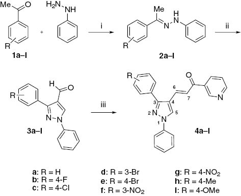 Scheme 1 Conditions: (i) EtOH, H2SO4, reflux; (ii) POCl3/DMF, 80°C, then NaHCO3/H2O; (iii) 3-acetylpyridine, MeOH, NaOH, r.t.