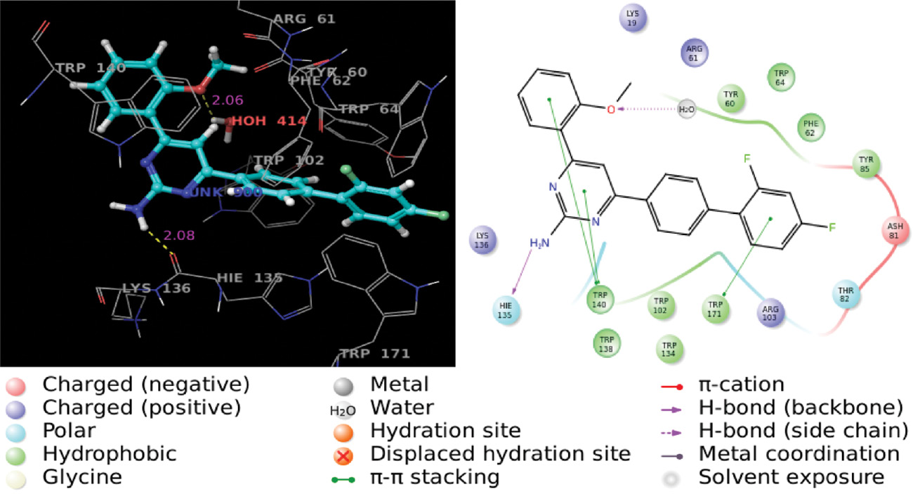 Figure 4 3D and 2D images of the complex of compound 5g with 4LRH protein residues.
