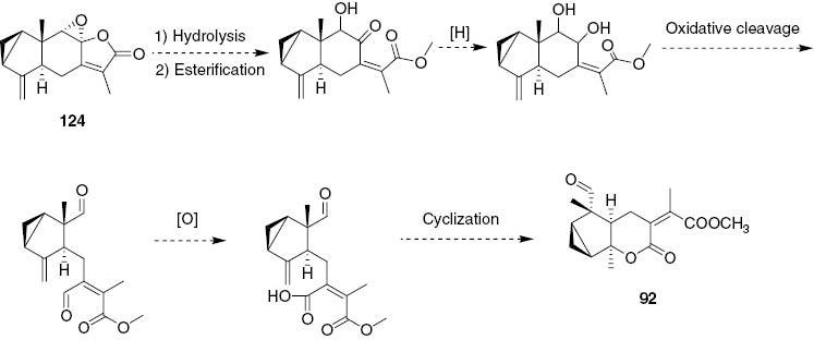 Scheme 1 Plausible transformation of 124 into 92.