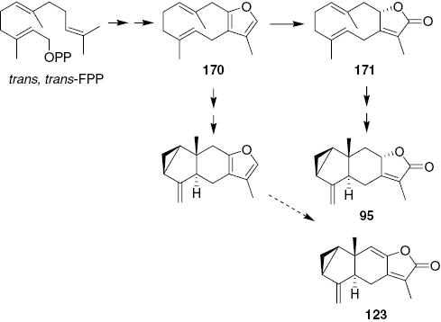 Scheme 2 Possible biogenetic pathway of shizukanolides.