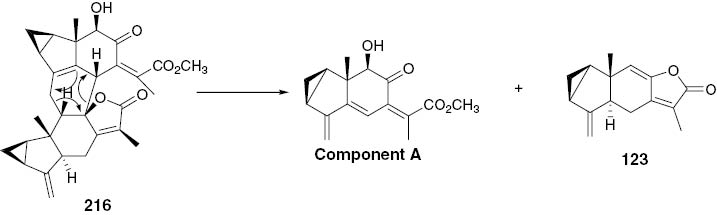Scheme 3 Pyrolysis of compound 216.