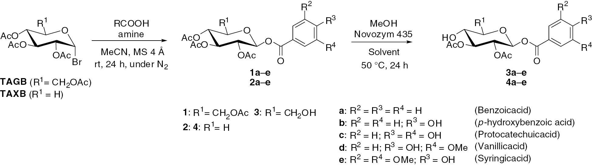 Scheme 1 Glycosylation of hydroxybenzoic acid derivatives and deacetylation using Novozym 435.