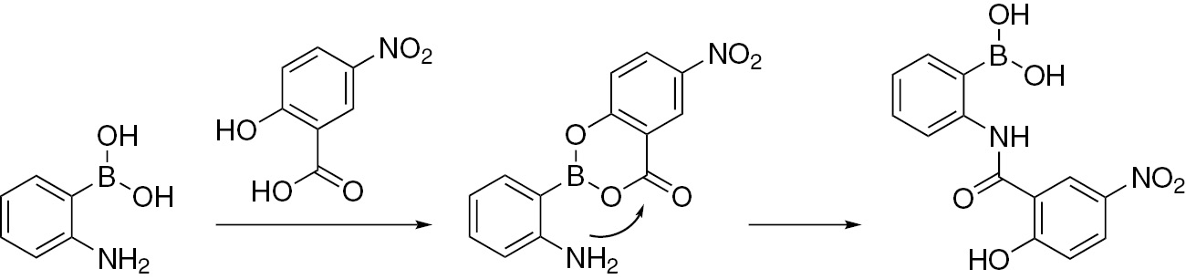 Scheme 1 Proposed direct amide formation between 2-aminophenylboronic acid and 5-nitrosalicylic acid.