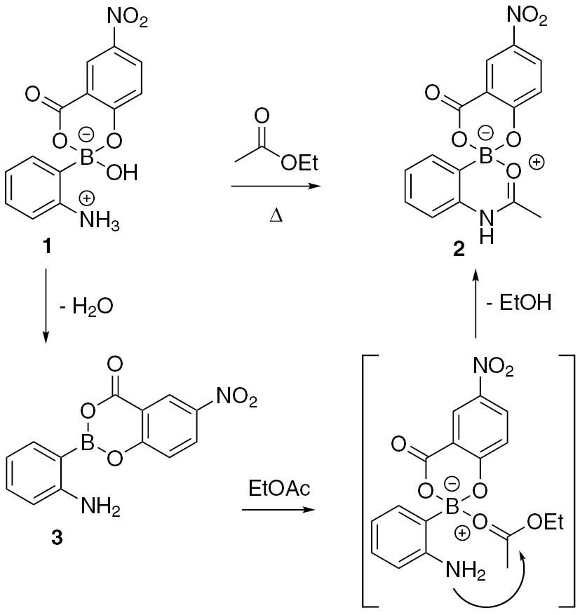 Scheme 2 Postulated mechanism for amidation reaction of 1.