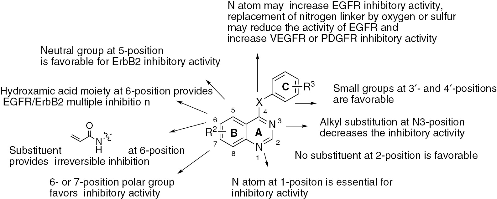 Figure 1 Structure-activity relationship of quinazolines.