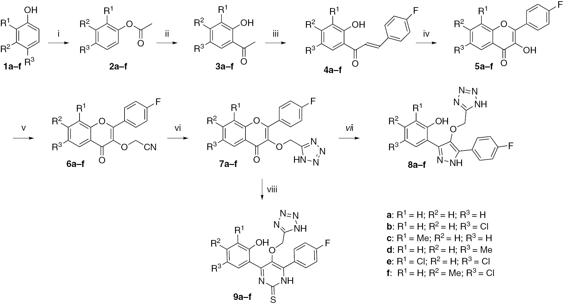 Scheme 1 Reagents and conditions: (i) acetic anhydride, pyridine, 100°C, 3–4 h; (ii) AlCl3, 150°C, 3–4 h; (iii) 4-fluorobenzaldehyde, KOH, EtOH, room temperature (rt), 2–3 h; (iv) H2O2, NaOH, 0°C to rt, 2–3 h; (v) 2-chloroacetonitrile, K2CO3, DMF, rt, 3–4 h; (vi) sodium azide, zinc bromide, H2O, reflux, 100°C, 4–5 h; (vii) hydrazine hydrate, ethanol, )))), 65°C, 45–55 min; (viii) thiourea, KOH, ethanol, )))), 65°C, 15–25 min.