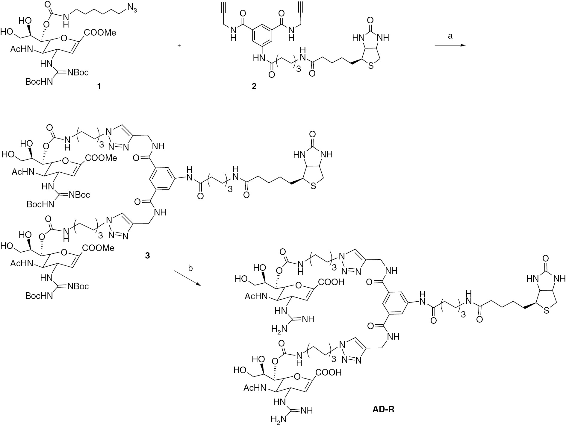 Scheme 1 Reagents and conditions: (a) tert-BuOH:H20 (7:3), CuSO4, sodium L-ascorbate, rt, 36 h, yield 60%; (b) 50mm NaOH, rt, 2 h, then TFA:DC (1:1), rt 1 h, yield 80% (over two steps).