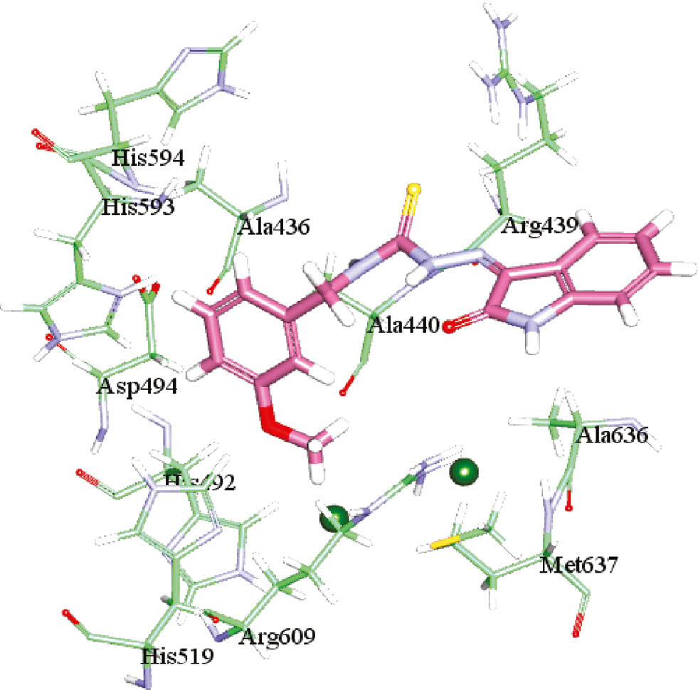 Figure 3 A possible binding mode of compound 5f to urease. Carbon atoms of 5f are colored pink, while that of protein are light green; oxygen, sulfur and nitrogen atoms are colored red, yellow and blue, respectively. The two nickel ions in the active site are represented as small dark-green spheres.