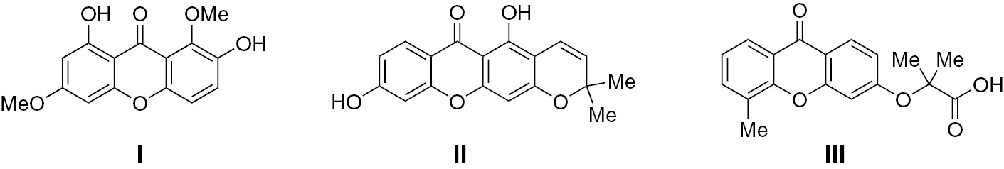 Figure 1 Xanthone derivatives I–III exhibiting anti-inflammatory activity.