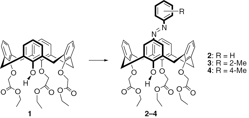 Scheme 1 Synthesis of calix[4]arenes 2–4. Reagents and conditions: NaNO2/4N HCl, pyridine, 0°C, 5 h, aniline in acetone for 2, o-toluidine in acetone for 3, p-toluidine in acetone for 4.