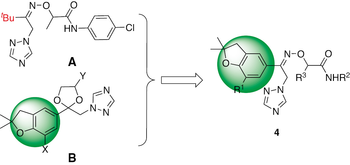Figure 1 Structures of compounds A and B synthesized previously.Compounds of 4 were synthesized as part of this work.