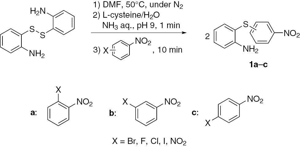 Scheme 2 SNAr reaction of 2-aminophenyl disulfide and nitroarenes.