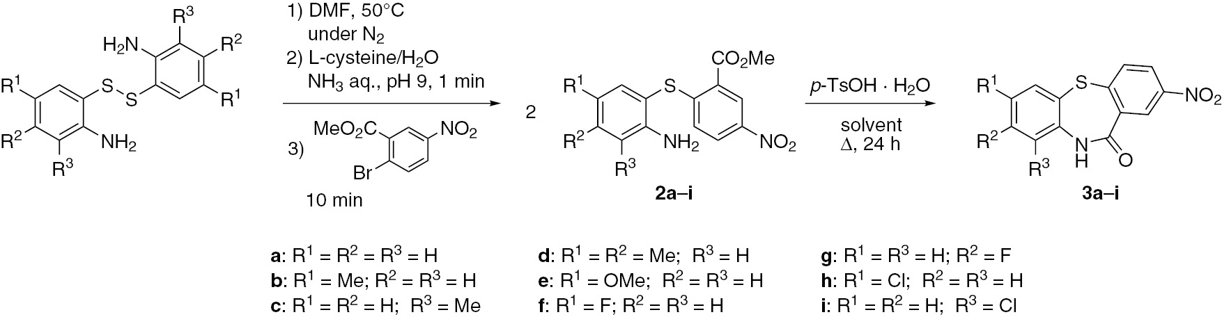 Scheme 3 Synthesis of lactam-containing dibenzothiazepines 3.
