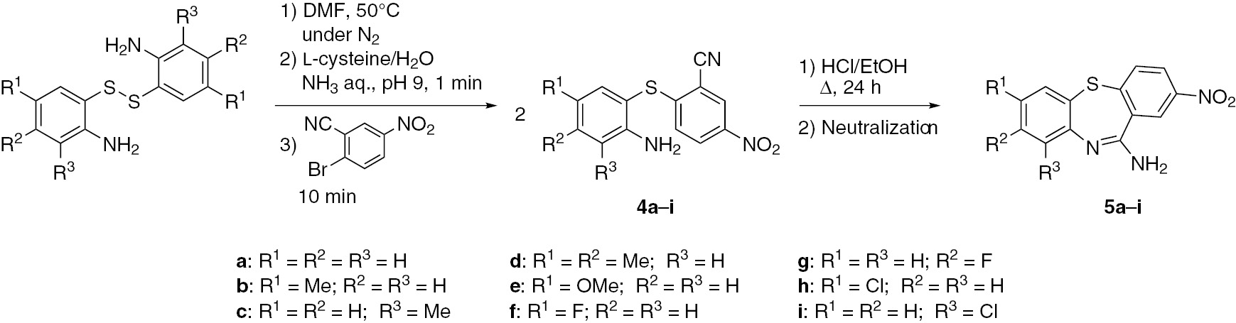 Scheme 4 Synthesis of dibenzothiazepine analogues with amidine moiety (5).
