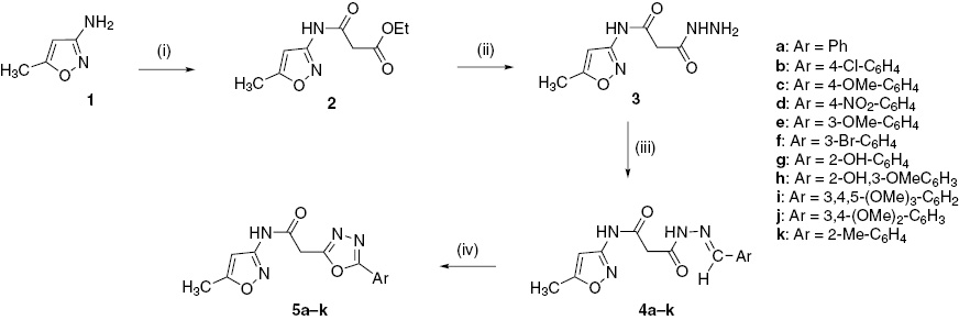Scheme 1 Reagents and conditions: (i) diethyl malonate, ethanol, reflux 12 h, 80%; (ii) N2H4H2O, ethanol, reflux 6 h, 92%; (iii) Ar-CHO, methanol, glacial AcOH, reflux 4–6 h, 90–95%; (iv) chloramine-T, ethanol, reflux 4–6 h, 68–76%.