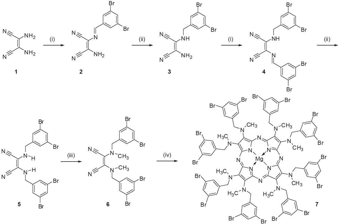 Scheme 1 Reagents and conditions: (i) 3,5-dibromobenzaldehyde, methanol, TFA, rt, 30 min; (ii) sodium borohydride, methanol, rt, 30 min; (iii) methyl iodide, DMF, cesium carbonate, 40°C, 24 h; (iv) Mg(O-nBu)2, nBuOH, reflux, 20 h
