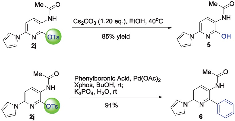 Scheme 4 Manipulation of the product.