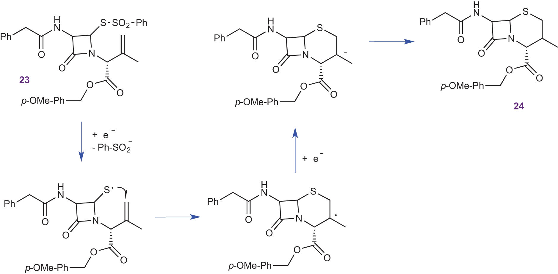 Scheme 16 
                  Cathodic ring formation from β-lactam 23.
               