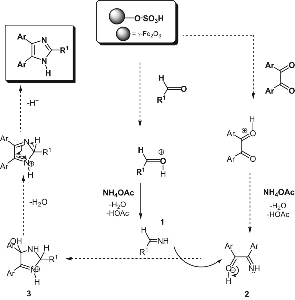 Scheme 2
Mechanism for the synthesis of trisubstituted imidazoles.