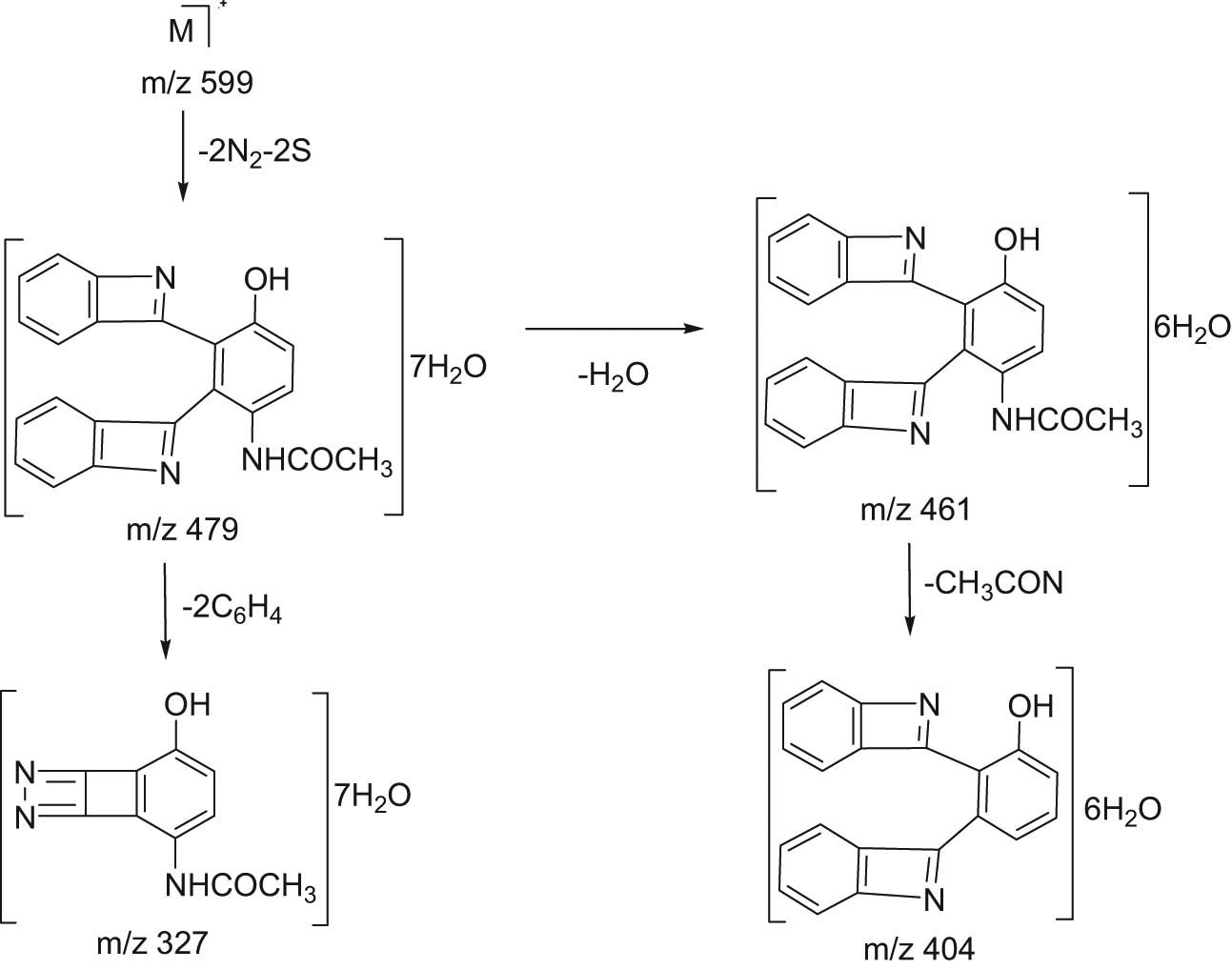 Scheme 2 
                  Significant HRESI-MS fragmentation patterns of compound 4a.
               