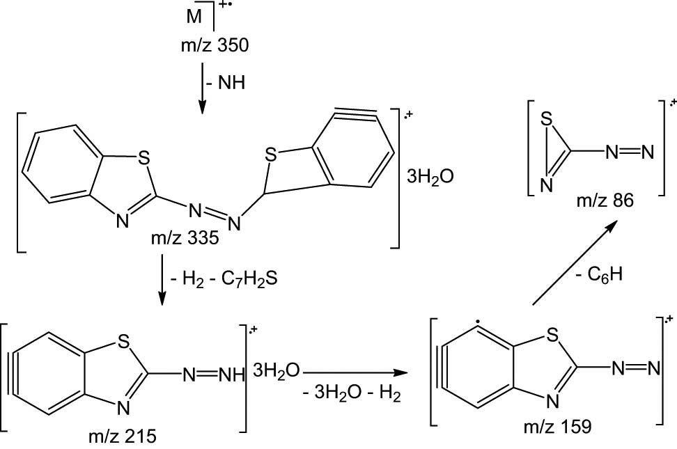 Scheme 3 
                  Significant HRESI-MS fragmentation patterns of compound 4a′.
               