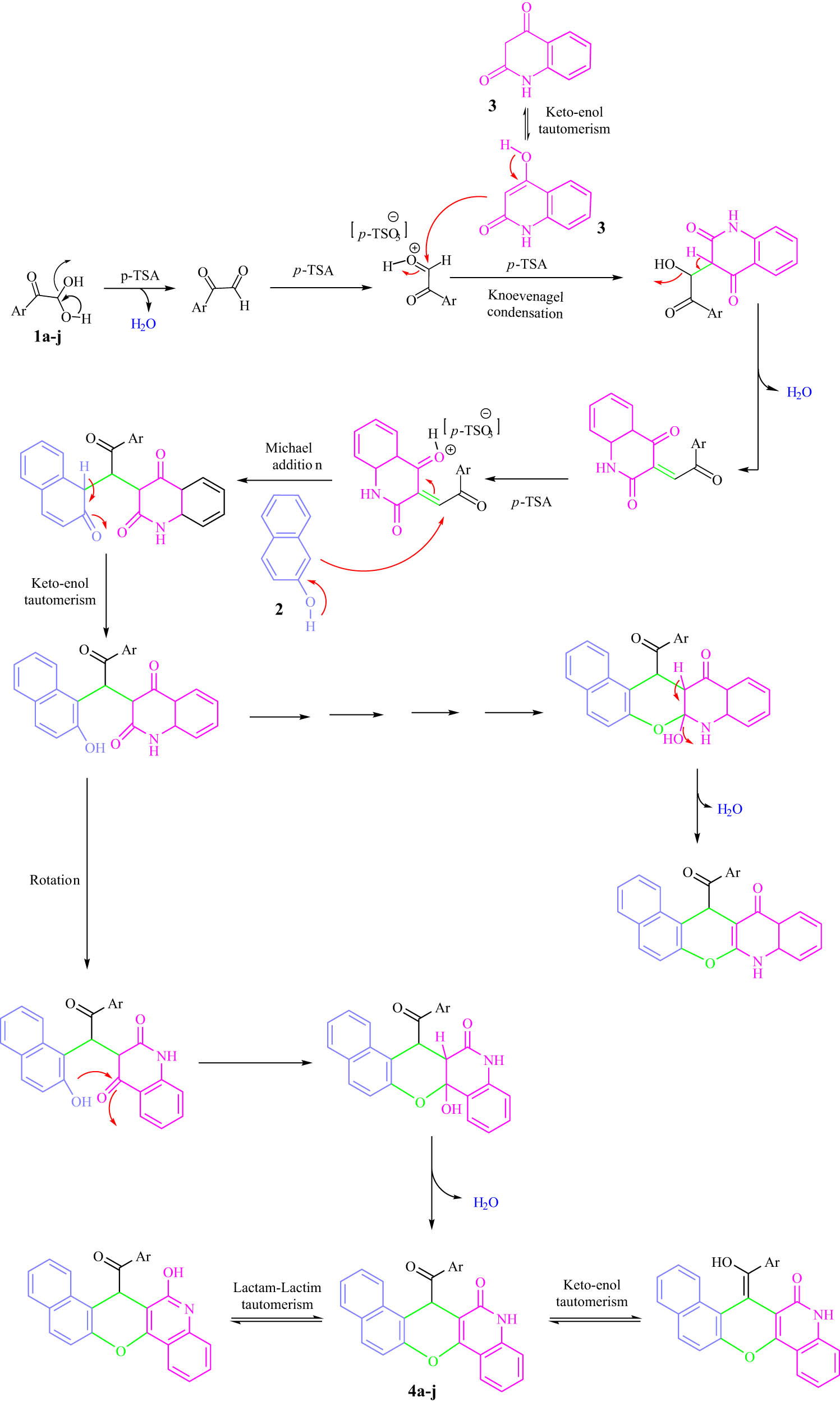 Figure 3 
               A plausible mechanism for the synthesis of benzo[5,6]chromeno[2,3-d]pyrimidine derivatives catalyzed by p-TSA.
            
