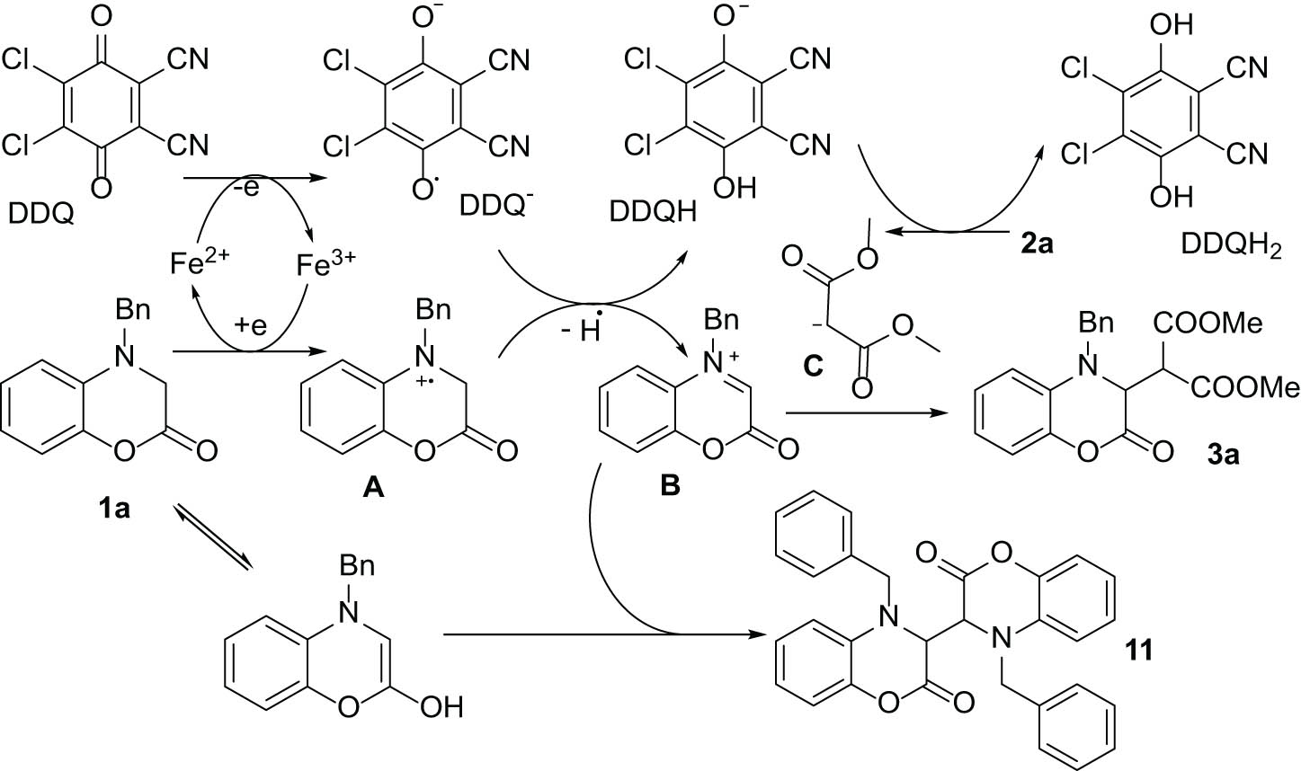 Figure 4 
               A plausible mechanism of the reaction.
            