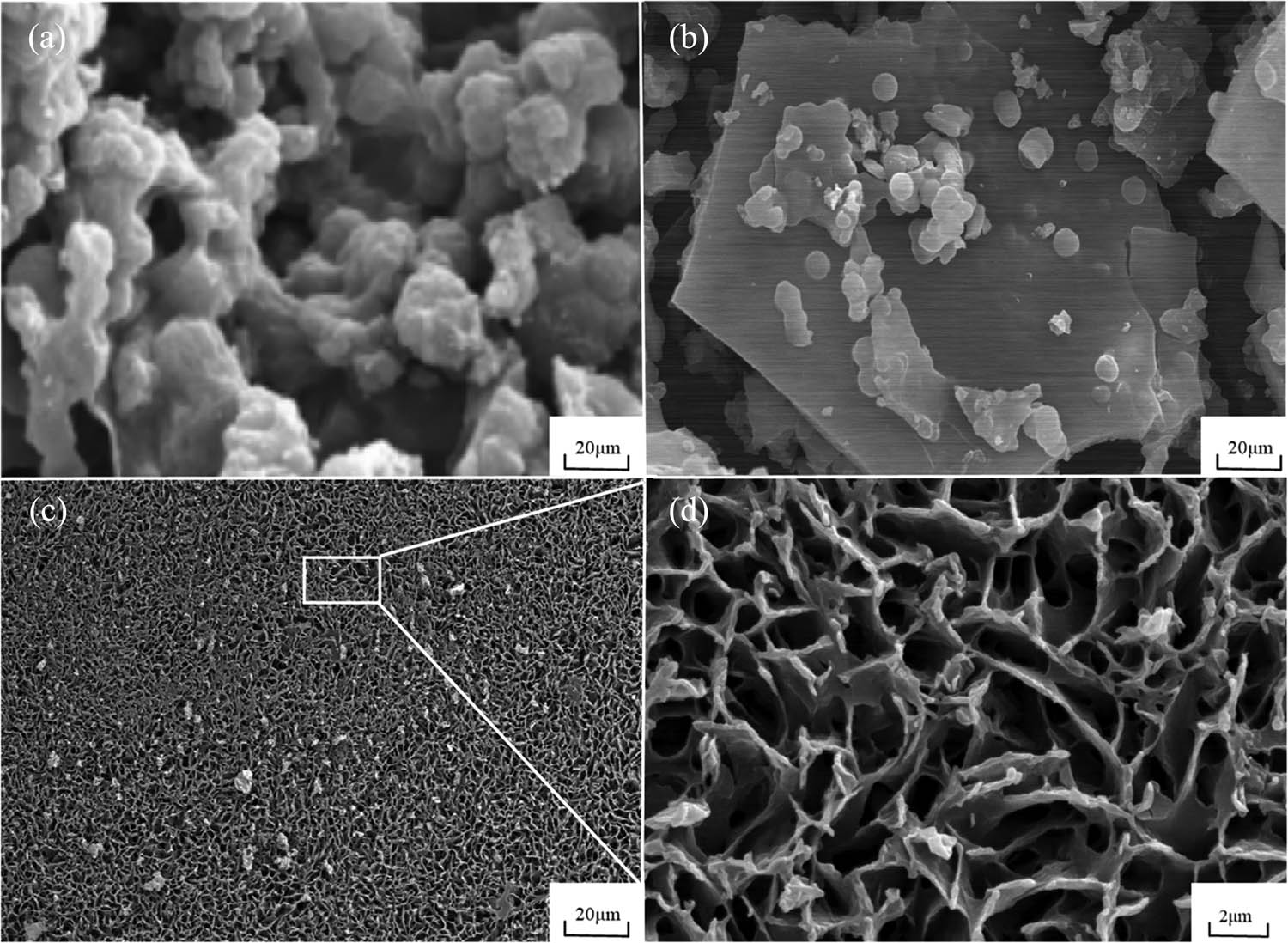 Figure 2 
               SEM images of the rhodium catalysts: (a) [Rh(cod)(l-Tyr)]; (b) [Rh(cod)(l-Arg)]; (c) [Rh(cod)(Dpt)2]; and (d) enlarged 100 times of image-C.
            