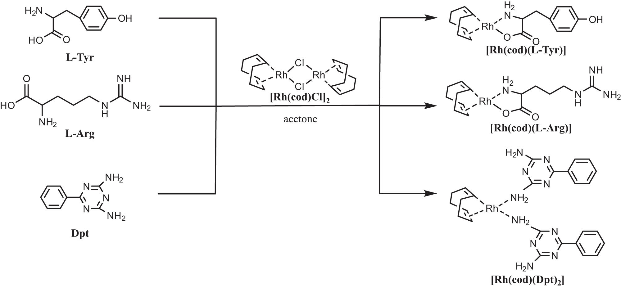 Scheme 1 
               Synthesis of rhodium catalysts.
            