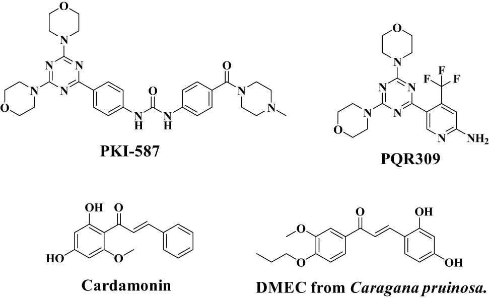 Figure 1 
               Structure of compounds with dual PI3K/mTOR kinase inhibitory activity.
            