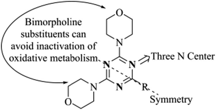 Figure 2 
               4,6-Dimorpholino-1,3,5-triazine skeleton structure.
            